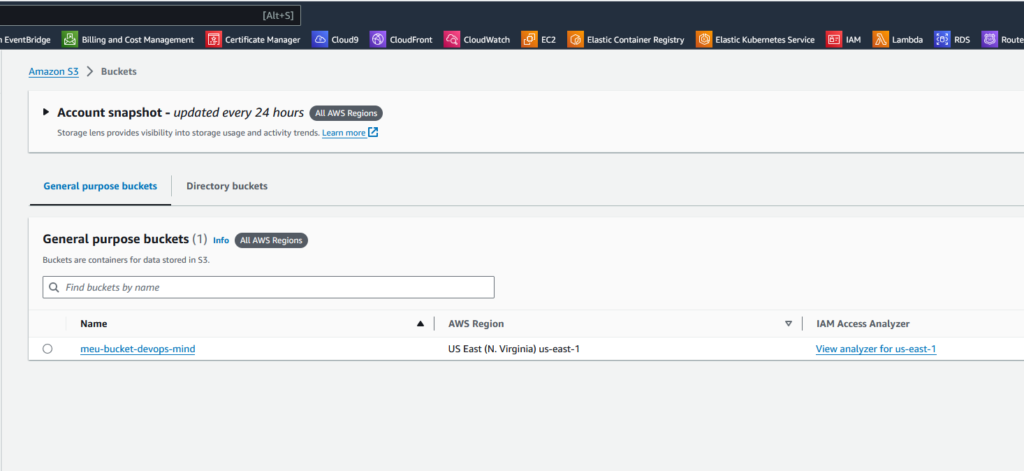 terraform sso