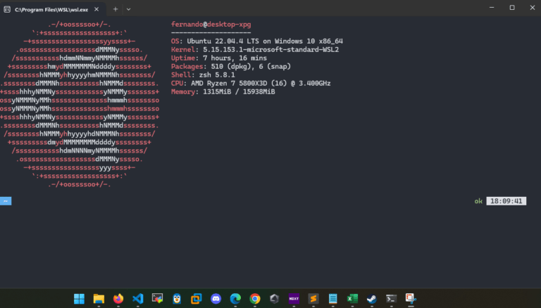 terminal linux no windows