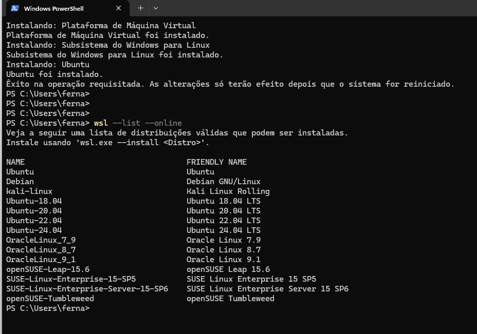 como usar linux no windows	