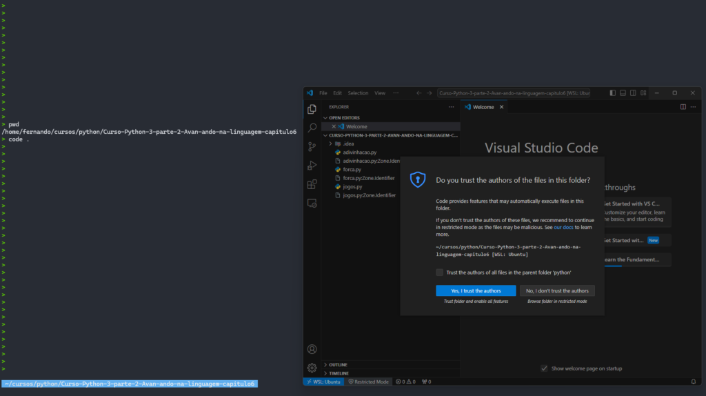 vscode