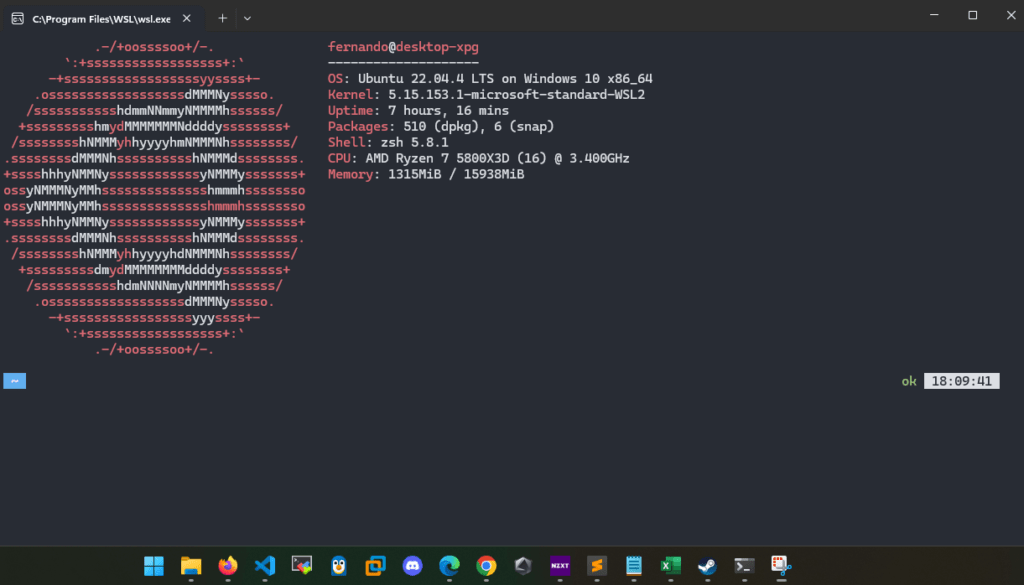 terminal linux no windows