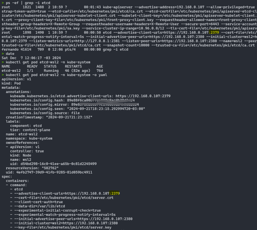 kubernetes etcd